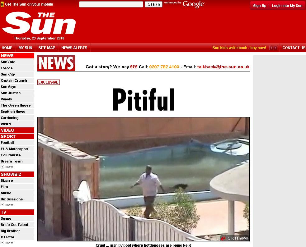 Delfini, pe post de animale de companie! Inoata in propriile excremente