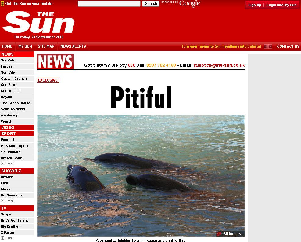 Delfini, pe post de animale de companie! Inoata in propriile excremente