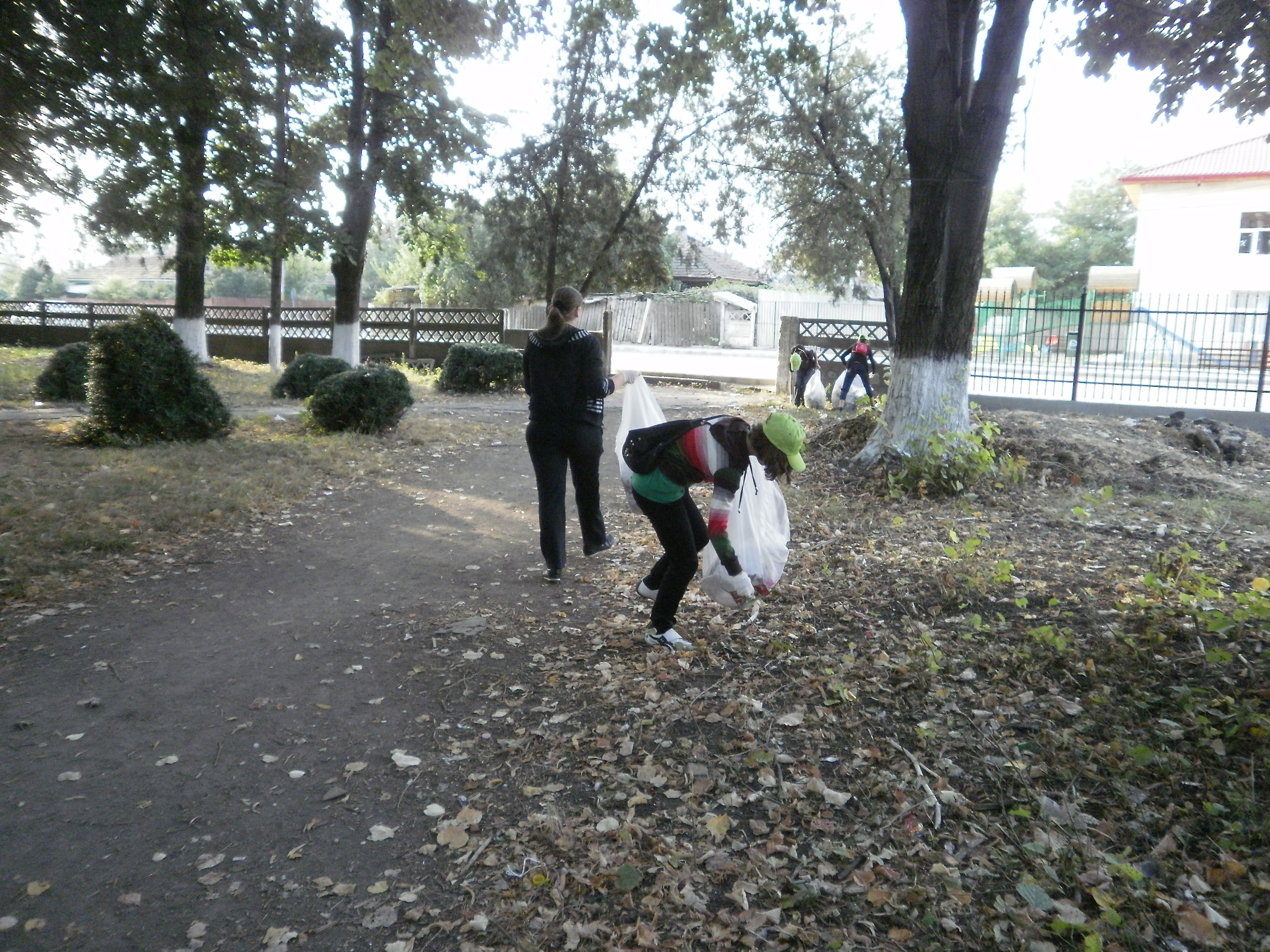 Let's Do It, Romania