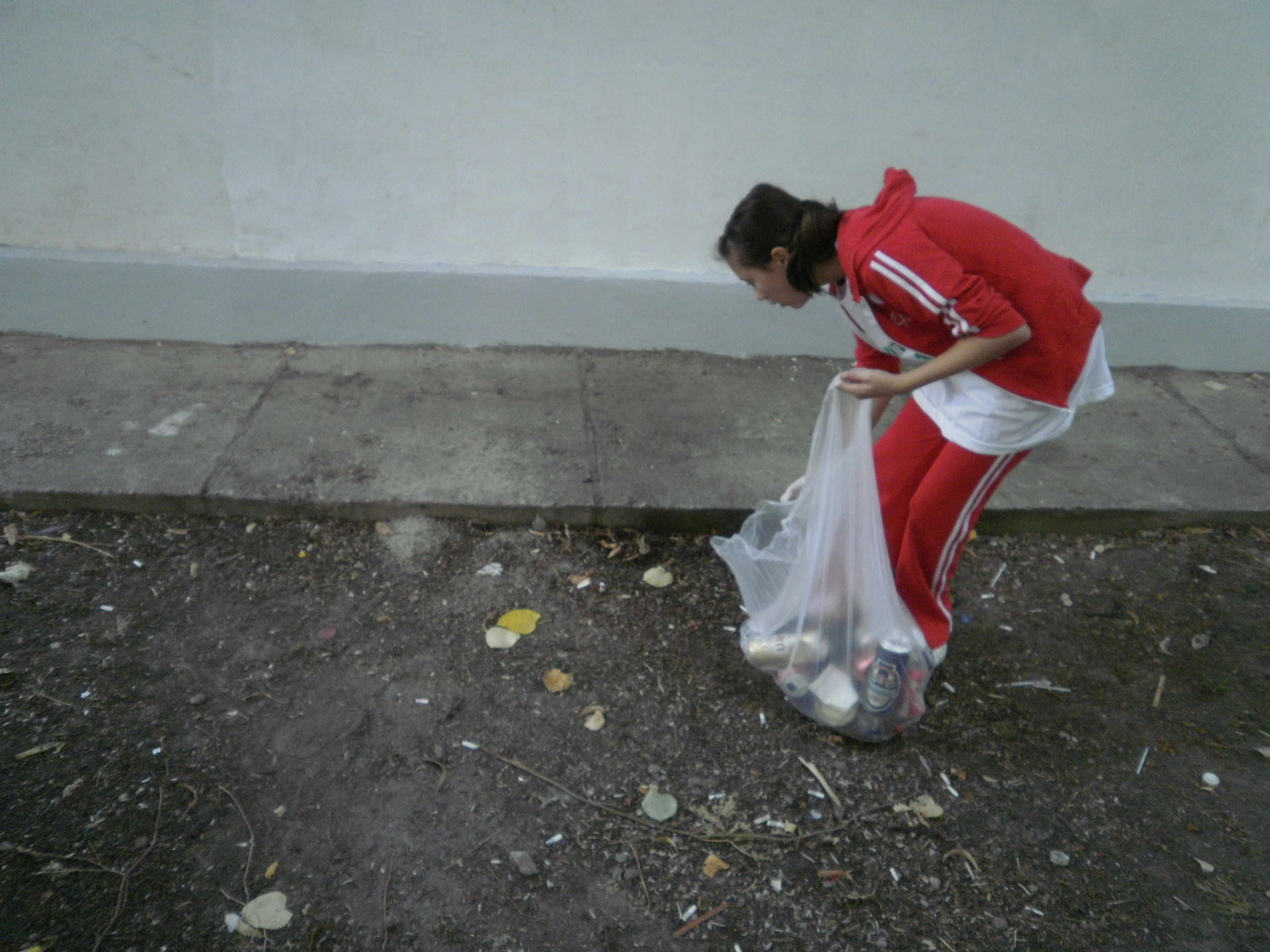 Let's Do It, Romania