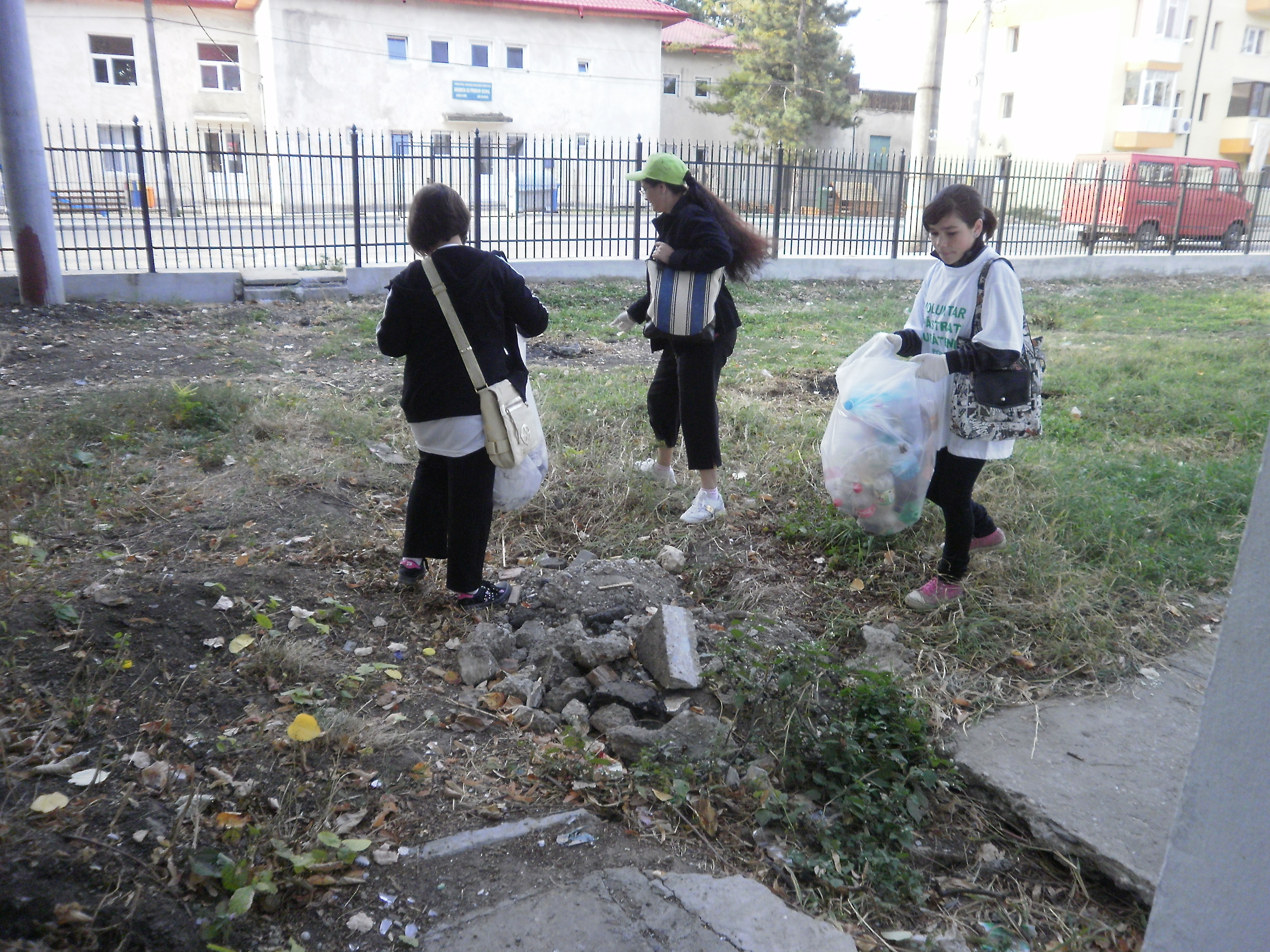 Let's Do It, Romania