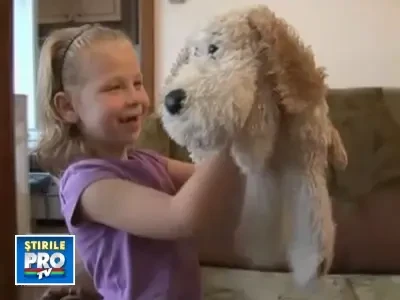 Umilitor! Criza ii obliga pe romani sa ceara ajutor semenilor pe Internet