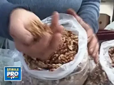 10% pentru noi, restul pentru export. Asa se imparte productia de nuci