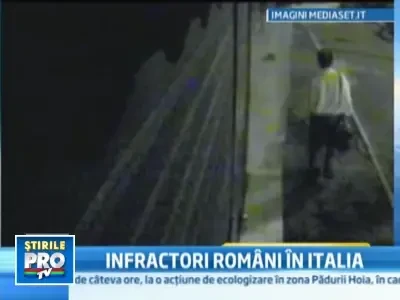 Patru romani retinuti in Italia pentru jaf si tentativa de omor