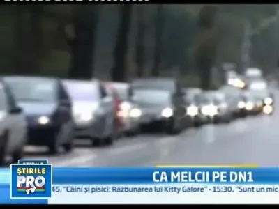 Distractie in weekend, calvar pe drumul de intoarcere! Aglomeratie pe DN1