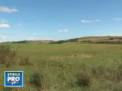 Ministerul Agriculturii, cu ochii pe cei care iau subventii fara sa cultive