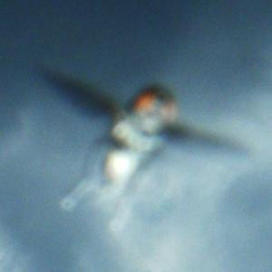 Un inger sau un OZN? Ce crezi ca troneaza pe cerul unui oras din Germania?