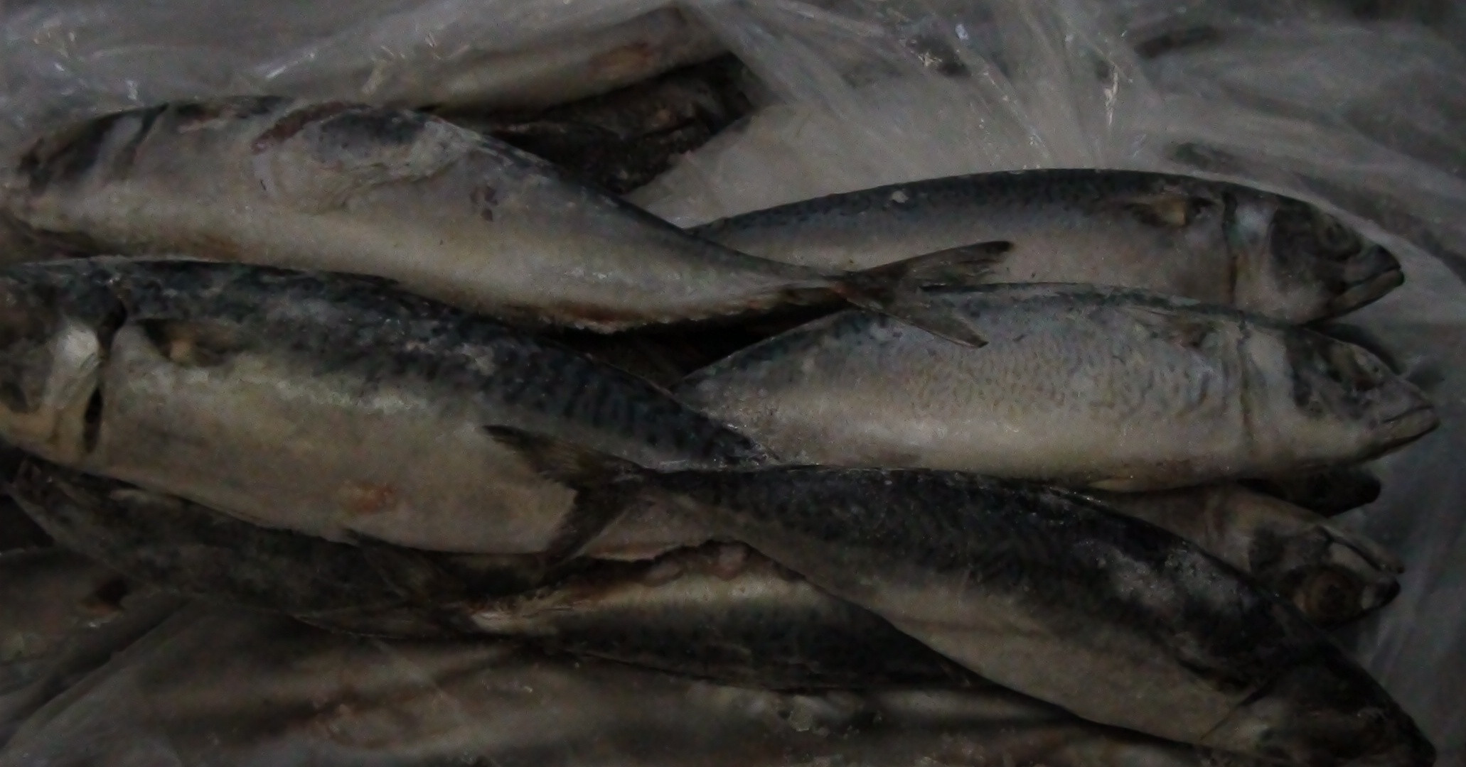 Alerta sanitara. Macroul congelat vandut in magazinele din Hunedoara contine o substanta periculoasa