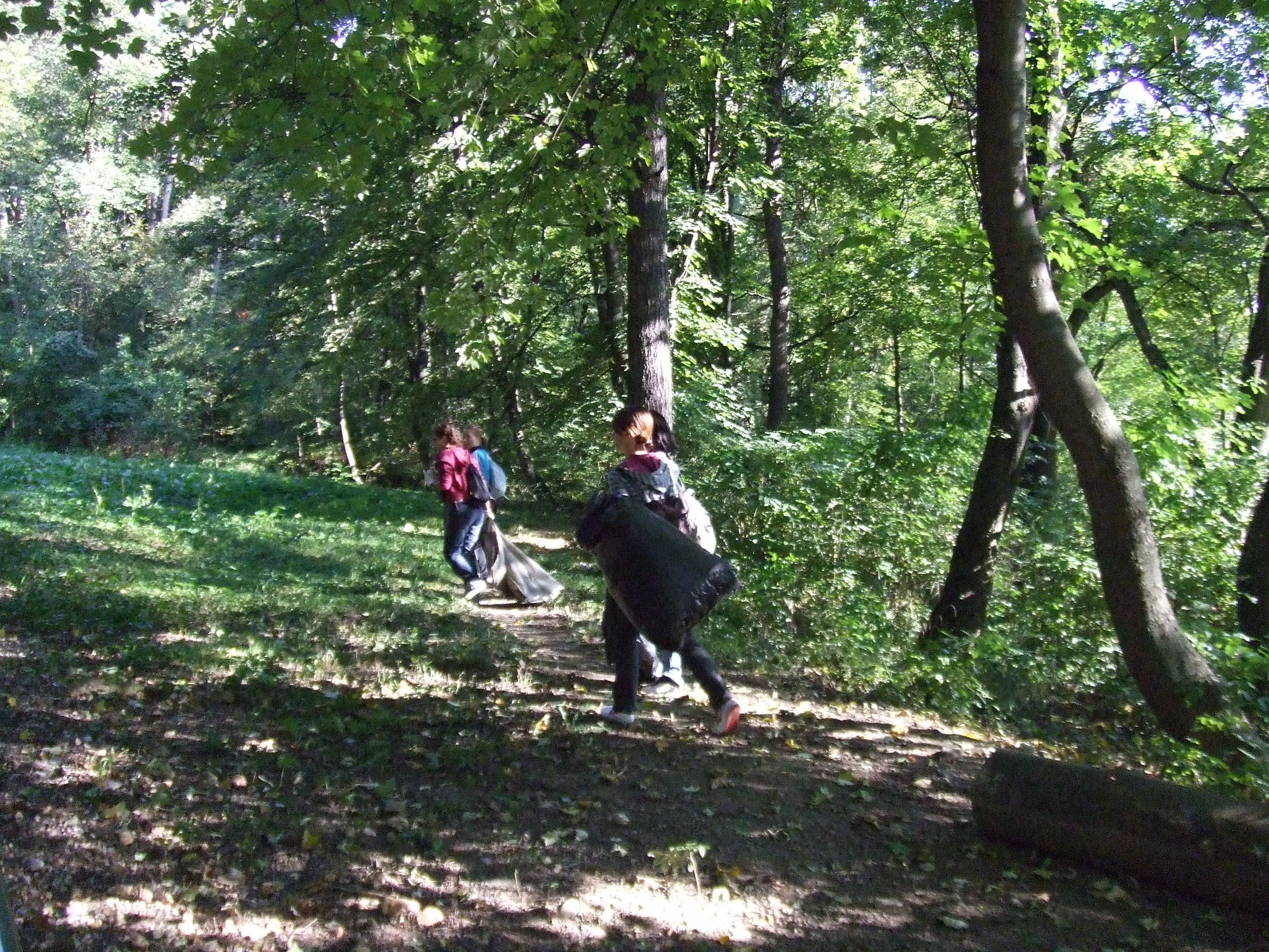 Let's Do It, Romania! - Brasov