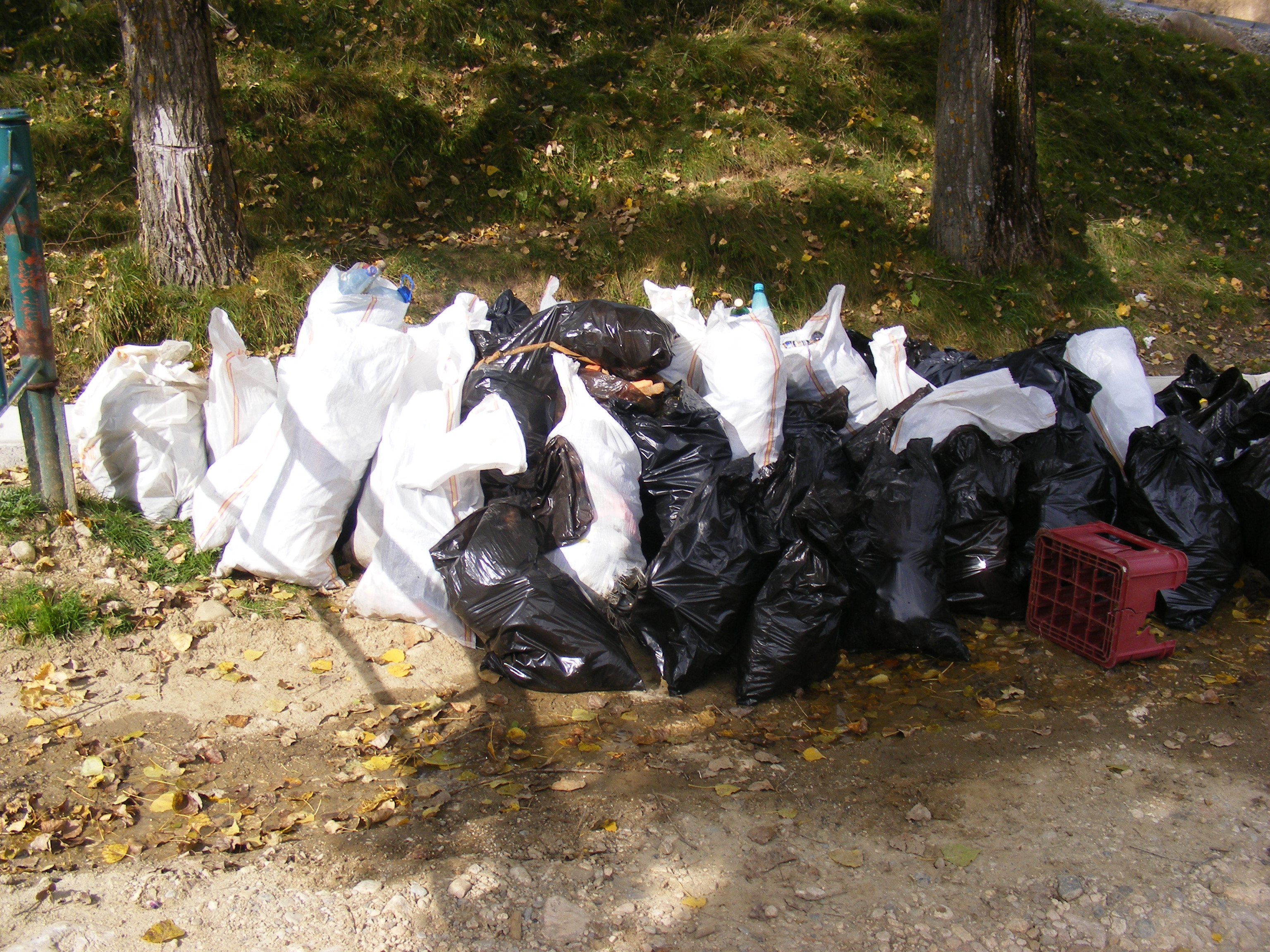 Let's Do It, Romania! - Brasov