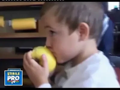 Gradinitele eco castiga din ce in ce mai mult teren in Romania