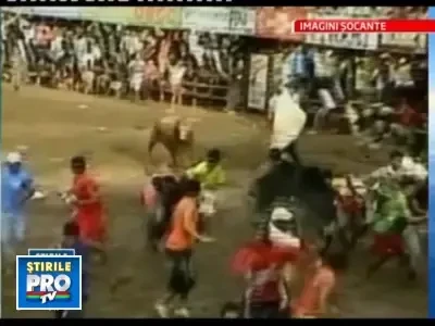 Trei morti si 37 de raniti la un spectacol de corida