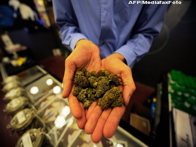 "Mai devreme sau mai tarziu, consumul de marijuana tot va fi legal"