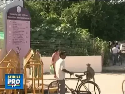 Atentie, vine Politia Maimutelor! Anuntul rasuna in New Delhi