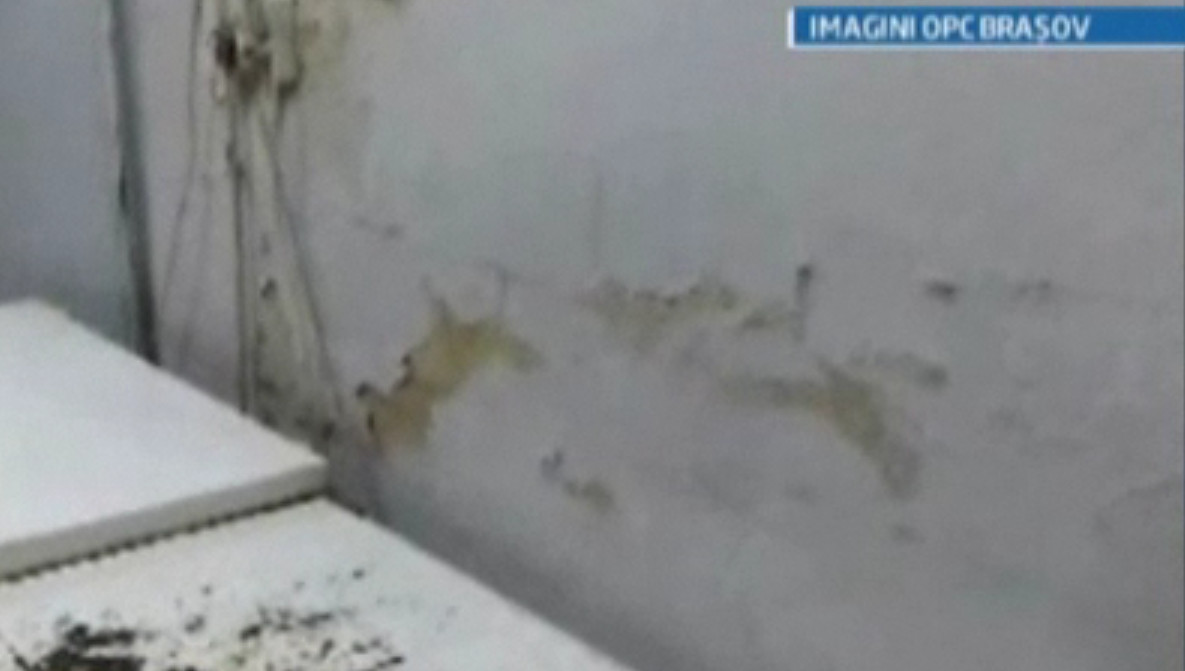 Imagini ingrozitoare! Vezi cum traiesc batranii dintr-un azil din Timis