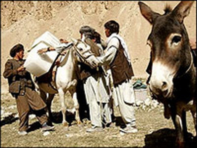 I-ha! Un magar a fost prins cu tigari de contrabanda, la granita