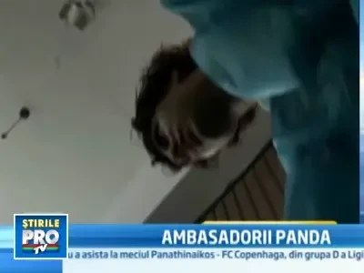 Sase oameni din intreaga lume au castigat titlul de ambasadori panda