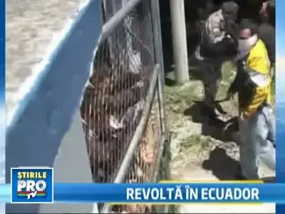 3 morti, 90 de raniti. Presedintelui Ecuadorului, atacat