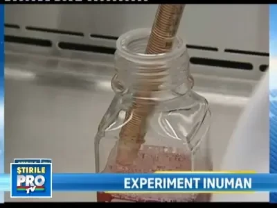 Orori americane. Detinuti din Guatemala infectati cu gonoree si sifilis