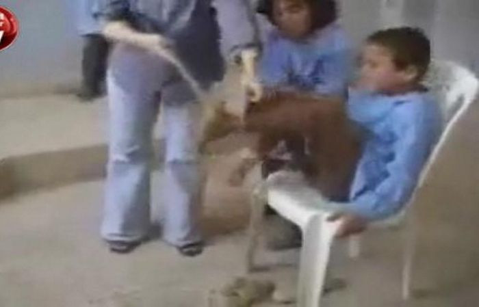 Copii torturati in scoli de profesoarele GROAZEI! VIDEO SOCANT