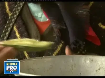 Esti amator de legume exotice?Nu le cauta prea departe!Se cultiva si la noi