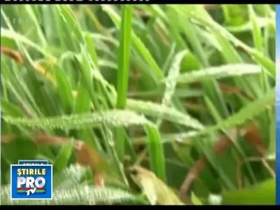 De saptamana viitoare se face cald: 20 de grade! Afla cum e in decembrie