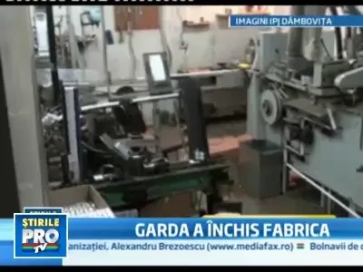 Descindere in forta a mascatilor la o fabrica ilegala de tutun din Titu