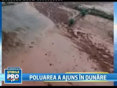 Catastrofa ecologica: Deseurile toxice din Ungaria au ajuns in Dunare