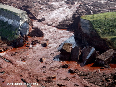 Alerta sporita pe Dunare! Mii de pesti morti au ajuns in fluviu