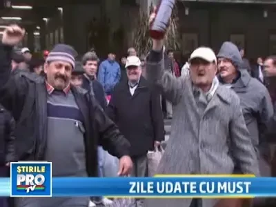 Mustul proaspat i-a facut pe bucuresteni sa uite de frig si de griji