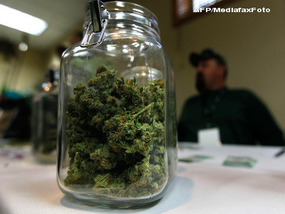 Doi tineri au fost prinsi cu marijuana si hasis in centrul Bucurestiului