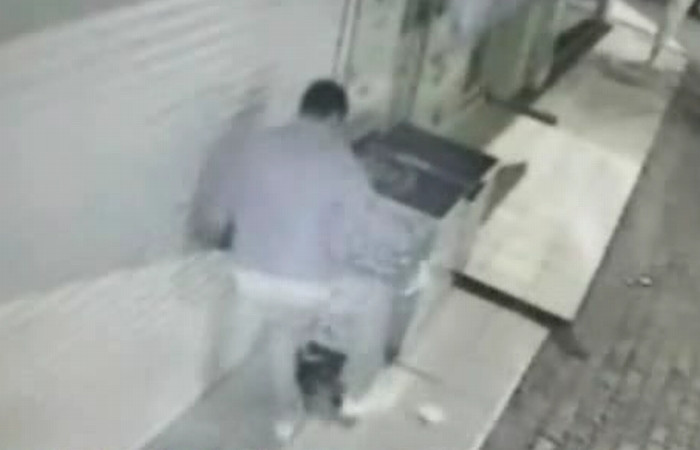 Cruzime incredibila. A omorat o pisica fara niciun motiv. Video socant