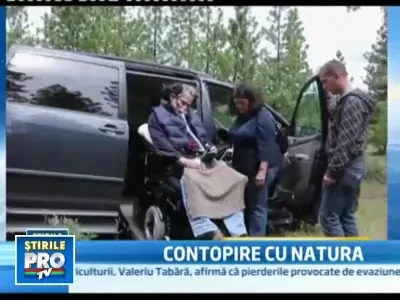 Inmormantarea eco: fara imbalsamare, sicrie, haine sau gropi de 2 metri