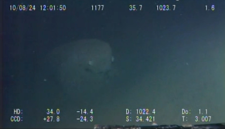 Monstru marin, surprins de camere subacvatice in Oceanul Pacific? VIDEO!