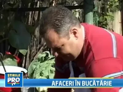 Avocat, pun muraturi la comanda! M-am reprofilat si imi merge bine