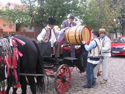 Festivalul Zaibarului, sarbatorit cu fast la Bailesti, acasa la nea Marin