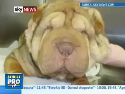 Ii picau pleoapele peste ochi, dar un lifting facial i-a redat vederea