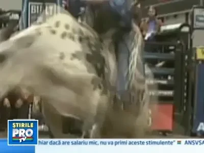 Spectaculos! Rodeo ad-hoc in Times Square, pe tauri adevarati