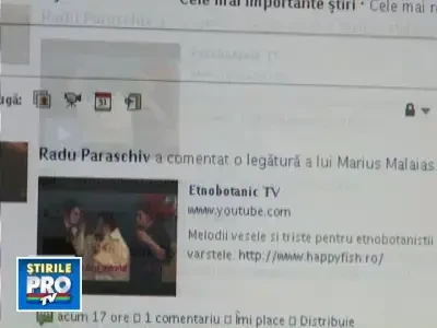 Retelele de socializare, atentat la productivitatea muncii