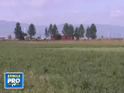 Oferta anti-criza: un teren gratuit in Brasov, daca iti faci casa in 6 luni