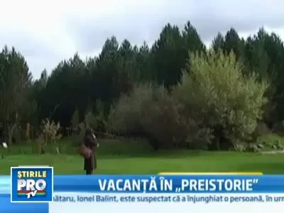 Turismul ecologic, inspirat de Familia Flinstone, afacere de milioane