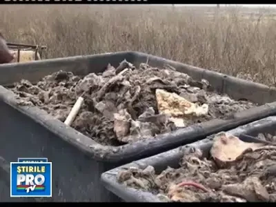 Pericol de moarte,din cauza ca au ascuns 20.000 de tone de substante toxice