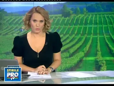 Capsunarii s-au reprofilat: scot bani frumosi din culesul viilor