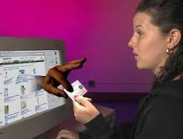 Idei de afaceri: Care sunt costurile si avantajele unui magazin online