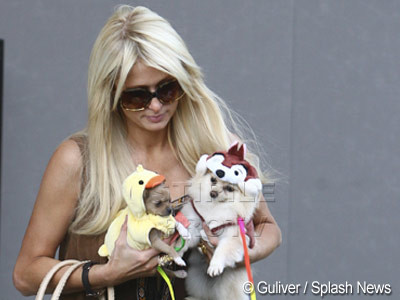 Paris Hilton, Dita Von Teese sau Mischa Barton la petrecerea cainilor