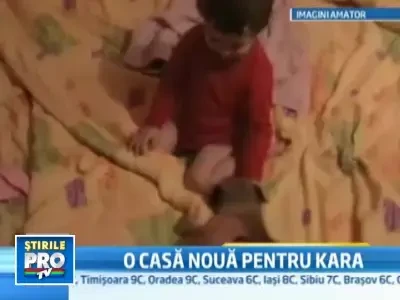 Kara, o leoaica de 2 ani crescuta de un roman, va ajunge acasa, in Africa