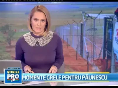 Kara, o leoaica de 2 ani crescuta de un roman, va ajunge acasa, in Africa