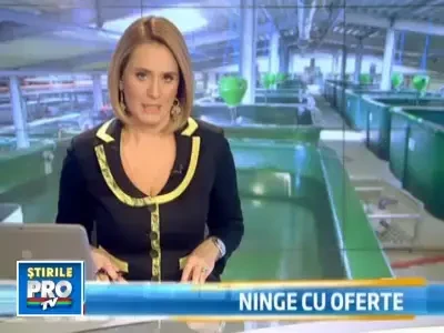 Afacere de top in Romania: nisetrul crescut in captivitate