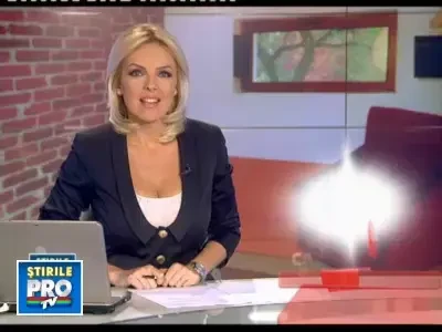 Rasfat pentru blanite! Hotel de lux pentru catei si pisici, in Bucuresti