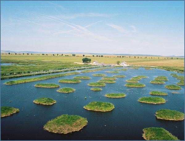 Dezbatere in Camera Deputatilor despre vanatoarea in Delta Dunarii. Ponta: "Nu voi fi de acord"